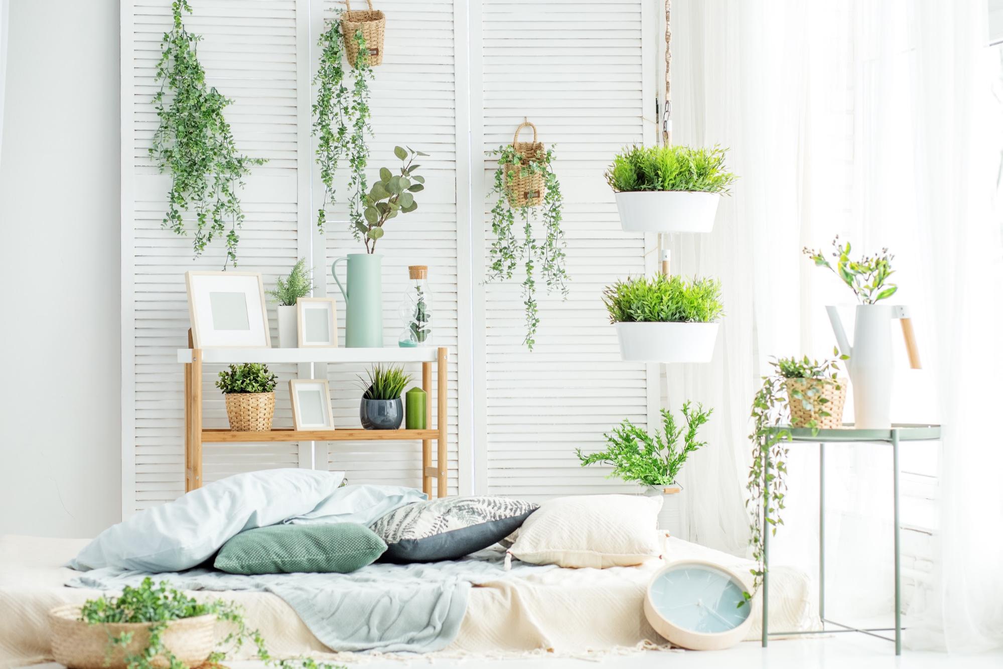 end table with storage: Room with various plants and a covered mattress with pillows on the floor