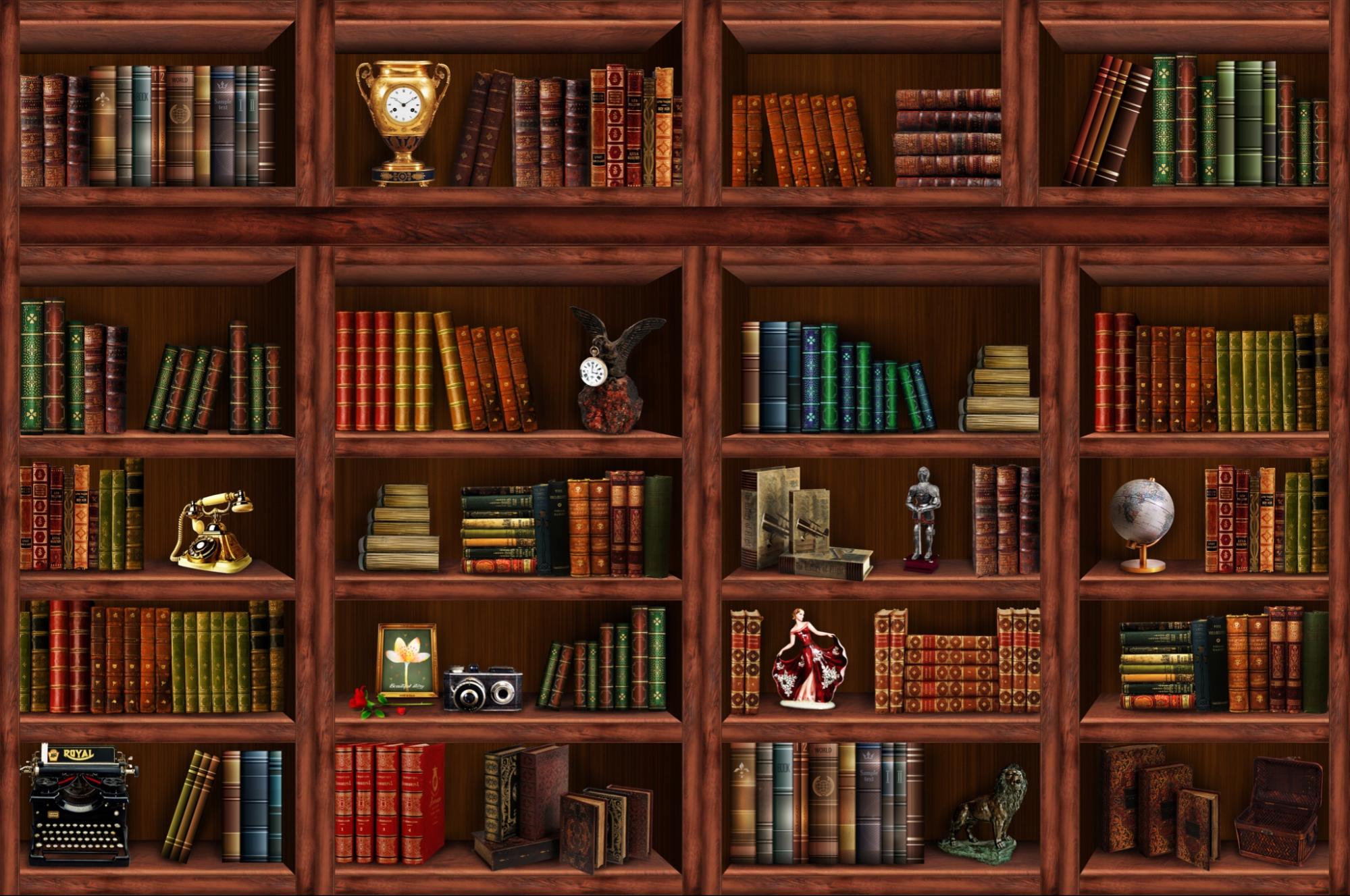 Bookcase with books and various decorations