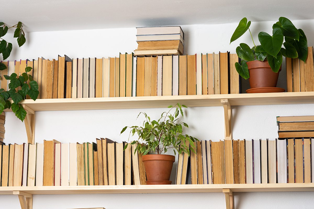 home library ideas: light wooden bookshelves with several books and house plants